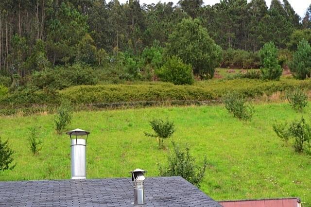 Apartamentos Rurales Casa Ron Coana Екстер'єр фото